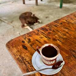 Der Hund gehörte zum Guide und hat uns den ganzen Tag begleitet.