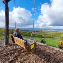 Weinschaukel mit super Ausblick
