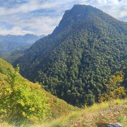 welch Panorama! 🥸🍀