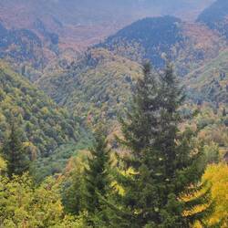 auch hier herbstelets 🍀