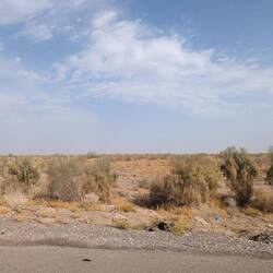 Lots of desert