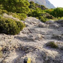 Ab hier geht unsere Wanderung los