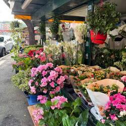 Fresh, local flowers. Bill is not romantic enough to get for CJ