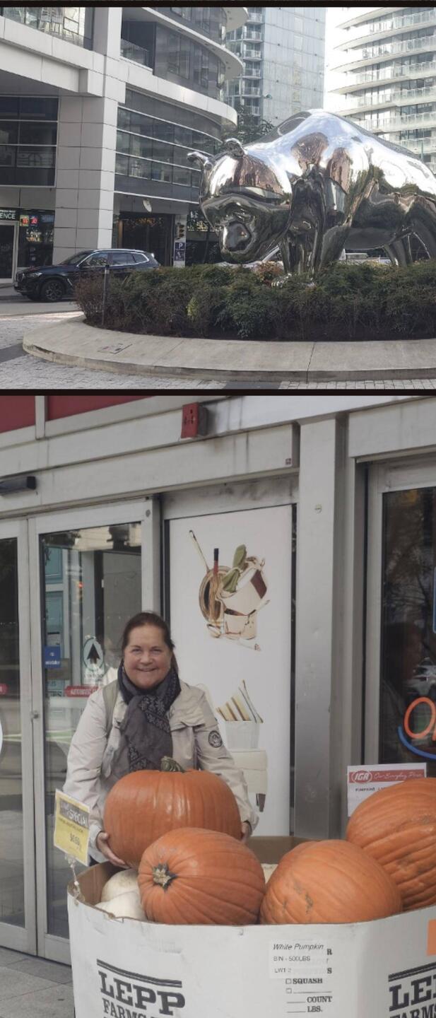 Was für ein schwerer Kürbis!