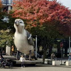 Really big birds!