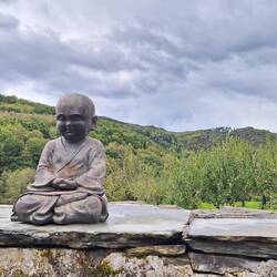 No idea why this is sat on a wall outside our accommodation.