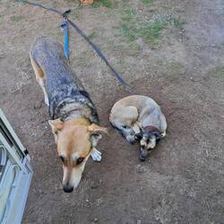 Warten aufs Essen😅