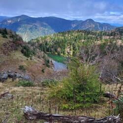 Ein bisschen kann man die Autumn Leaves schon sehen 🍂🍁🍃