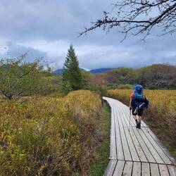 Durch das Marschland führte ein Holzsteg