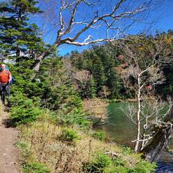 Farblich geht Carsten im grünen Dickicht nur selten verloren