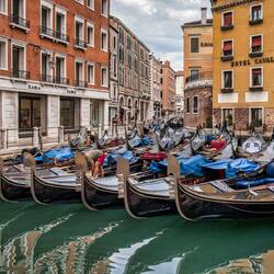 Gondolas getting ready for the day