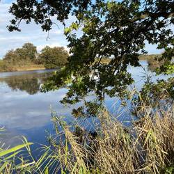 ... die auch immer wieder frei Blicke gewährte