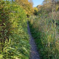 Kilometerlange enge Schilfgasse...