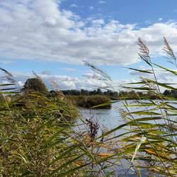 Meine meditative Wanderung endet nach knapp 10 km