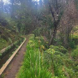 Levada-Impression