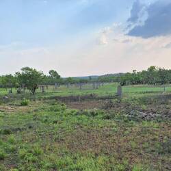 .....ein ganzes Feld