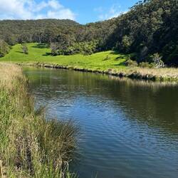 Kennett River Nature Walk