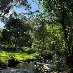 Kennett River Nature Walk