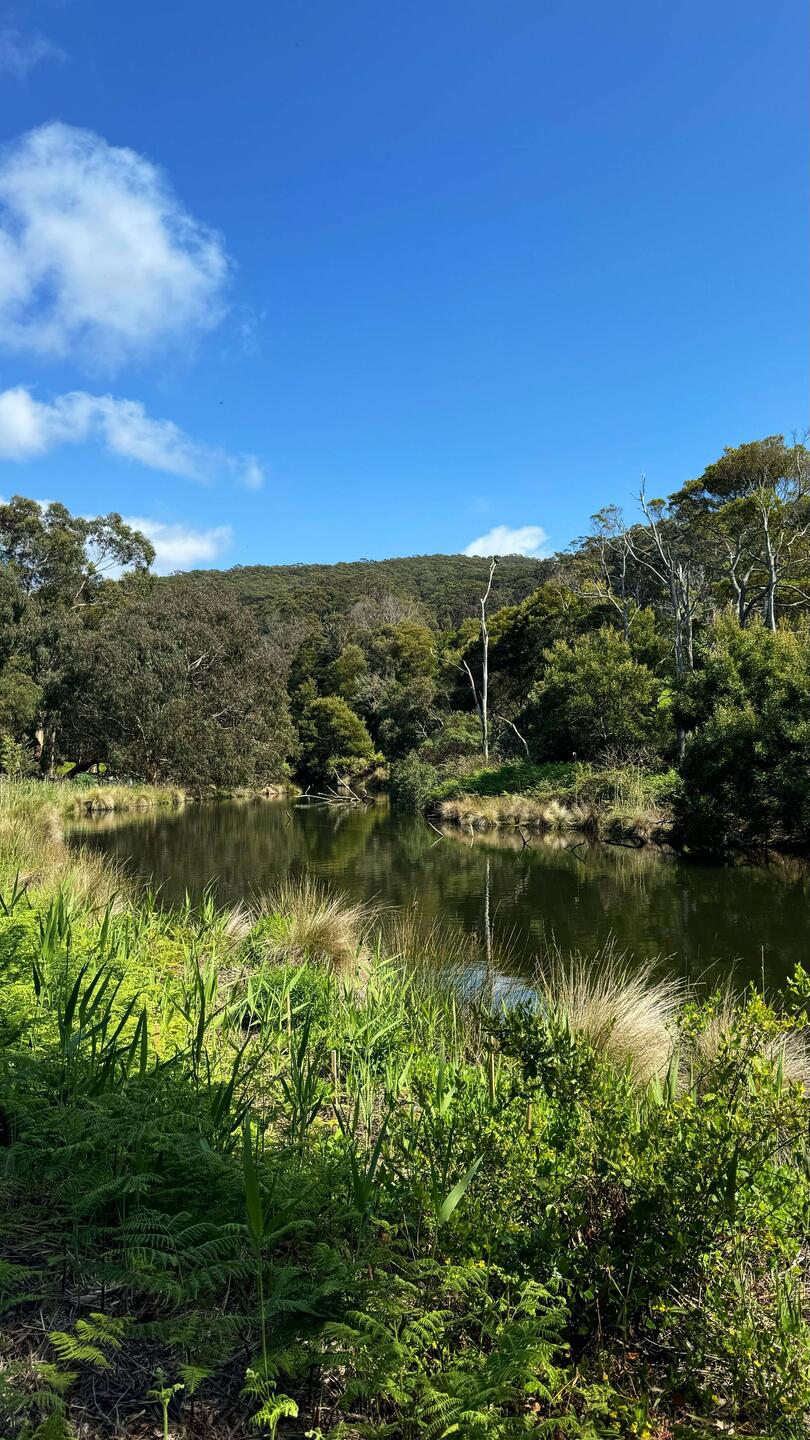 Kennett River Nature Walk