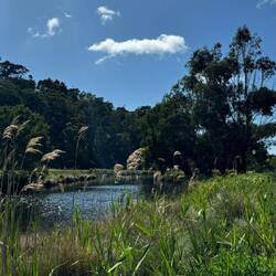 Kennett River Nature Walk