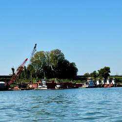Lost of tugs lined up on shore