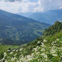 View from the open window. We all sat against the counter looking out at this