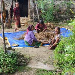 Ladies separating soybeans