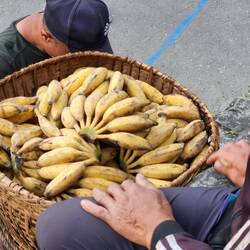 Our guides bought some bananas for us. They were so delicious