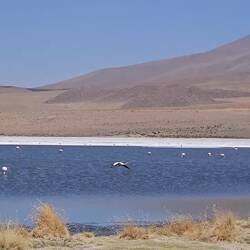 National Geographics Content 😏