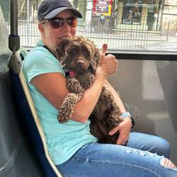 CJ and Daisy enjoying the bus ride