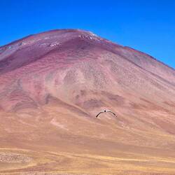 Beautiful scenery next to the chilean border