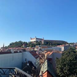 Im Hintergrund die Burg