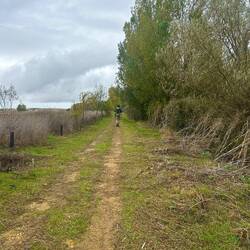 On the way to Carrion