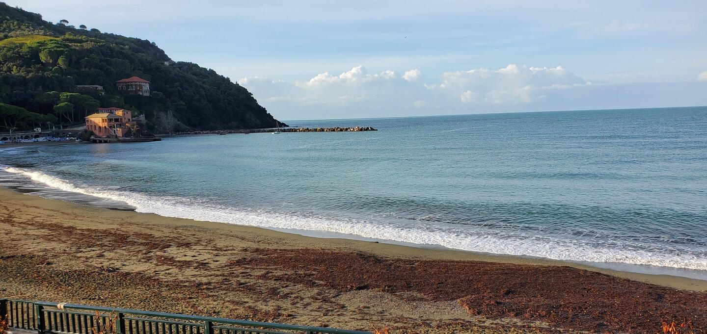 The shoreline