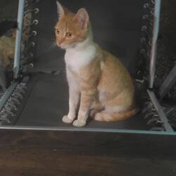 Unsere derzeitige Begleiterin: Bijou