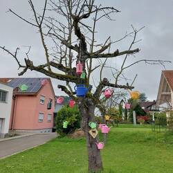 Der Gießkannenbaum :)