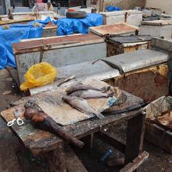 Kühlschränke zum Kühlen