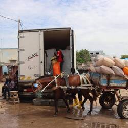 Neues Eis wird geliefert