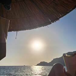 Bücher werden verschlungen