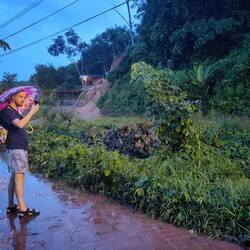 Filming the very loud frogs