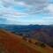 View from Orrison
