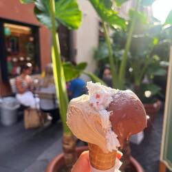 Noisette, cheesecake, chocolat