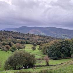 This area isn't green for nothing, they certainly get more than their fair share of rain.