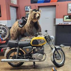 MZ TS 250 von 1973 aus der DDR, tatsächliche Erstzulassung in den USA