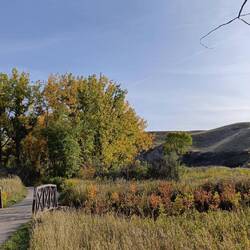 Beautiful fall colours by the river