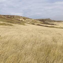 Mega windy - with another Buffalo jump in the distance. Good way to get tonnes of food and materials