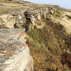 Head Smashed In Buffalo Jump - that's the name of this place. Buffalo were chased off the edge.