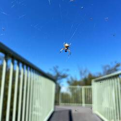 Wer versperrt uns denn da den Weg?