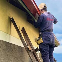Handwerker Pussu werkelt am Dach