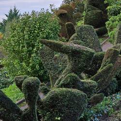 Hier war wohl Edward mit den Scherenhänden am Werke.